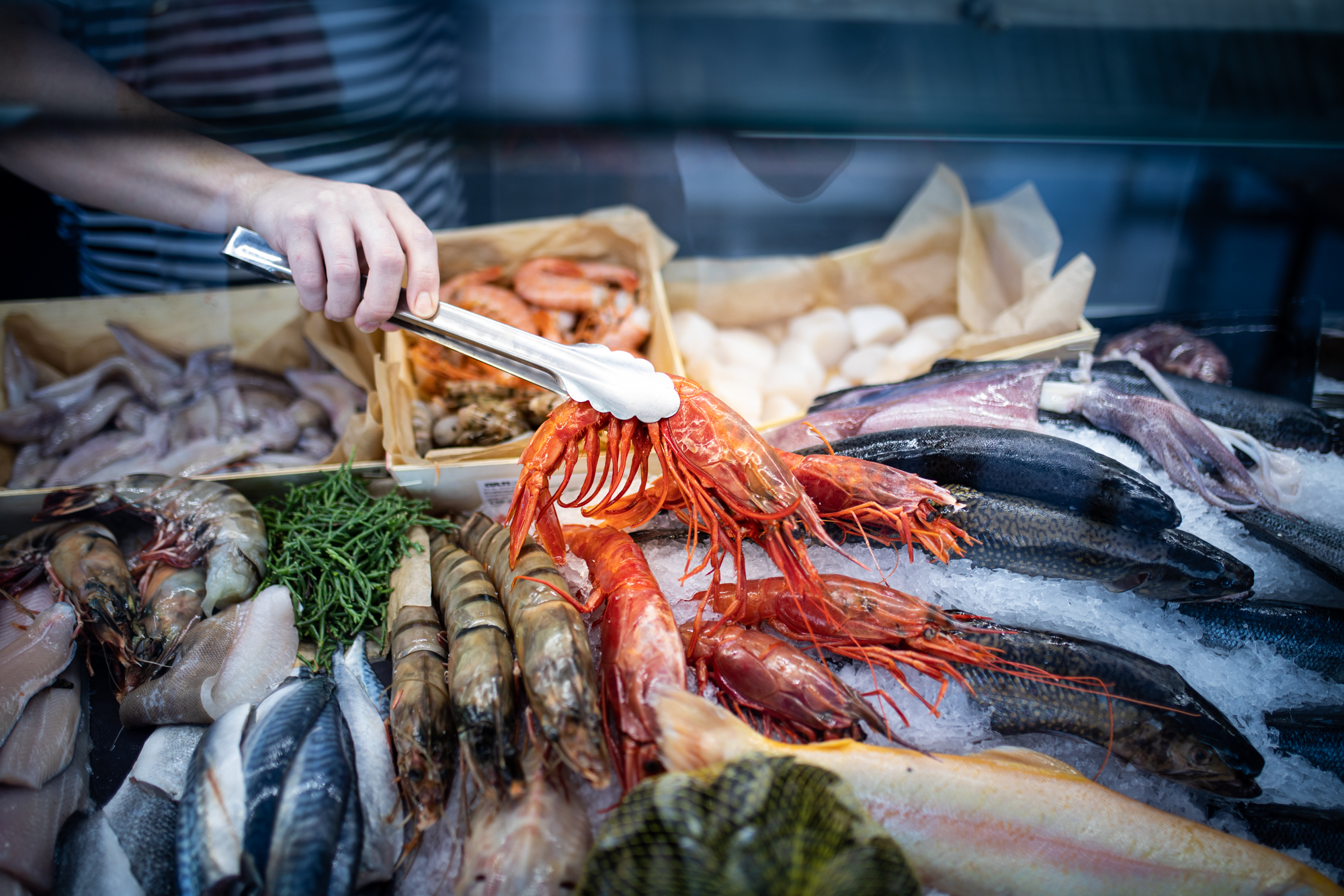 Friss halat Óbudára is! – Megnyílik a legújabb Fishmonger a Gobuda Mallban