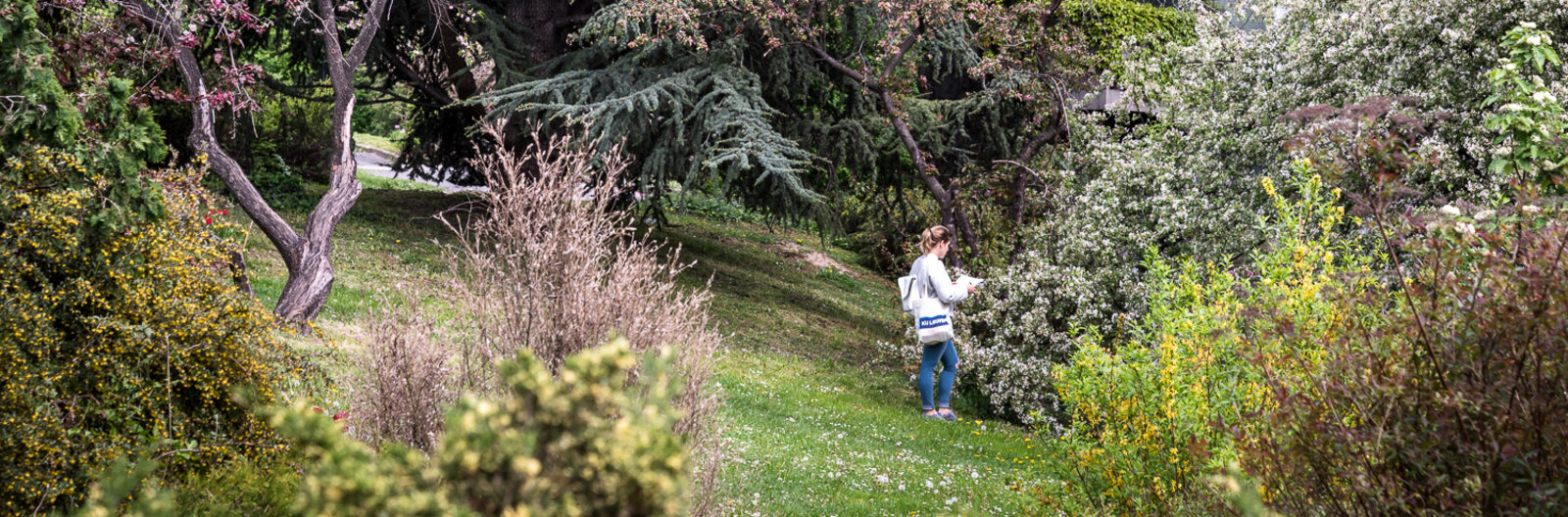 Színpompa három évszakon keresztül – Botanikus kertek, arborétumok és kertek Budapesten és környékén