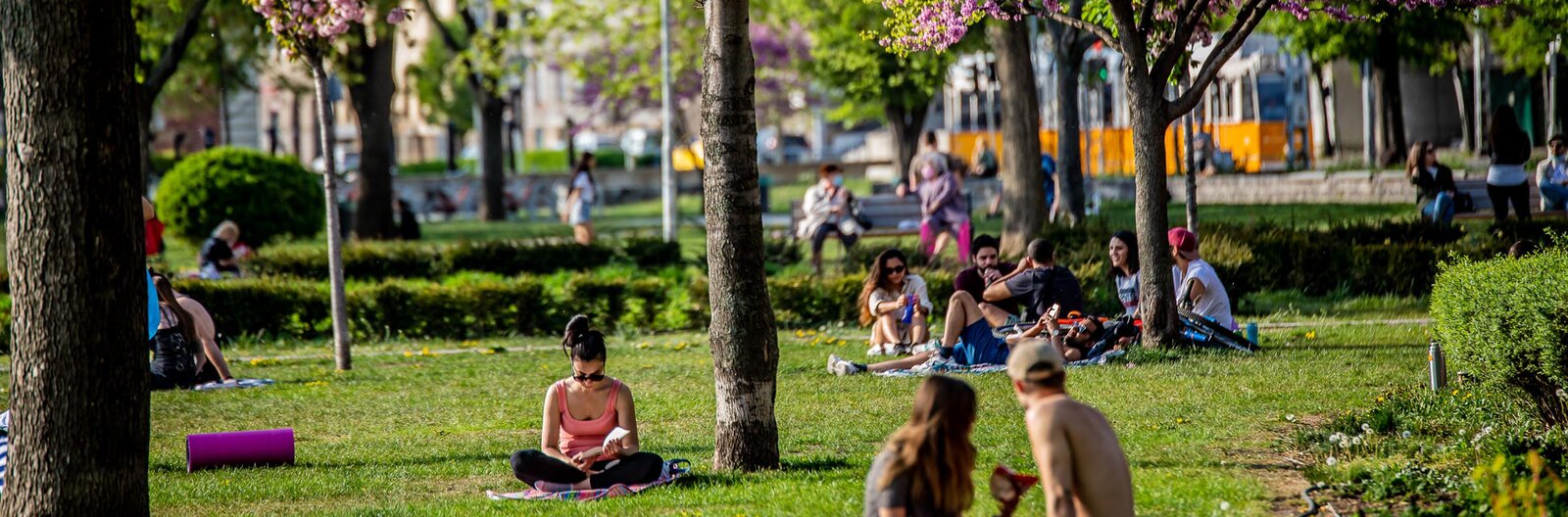 12 top picnic spots in Budapest