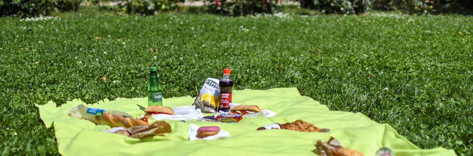 5 downtown Budapest parks perfect for impromptu picnics