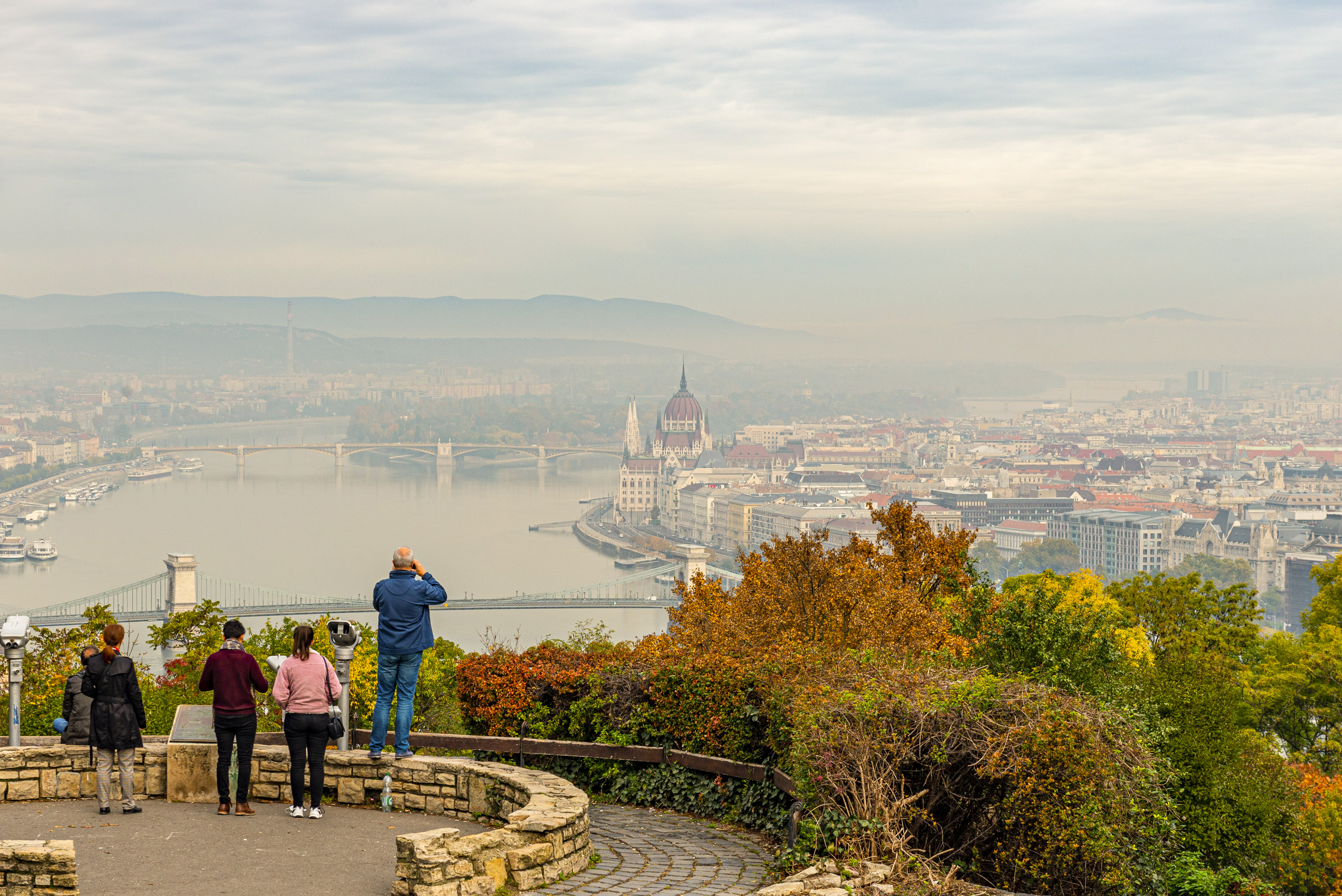 12 margitszigetnyi területen zöldíthetnénk Budapestet