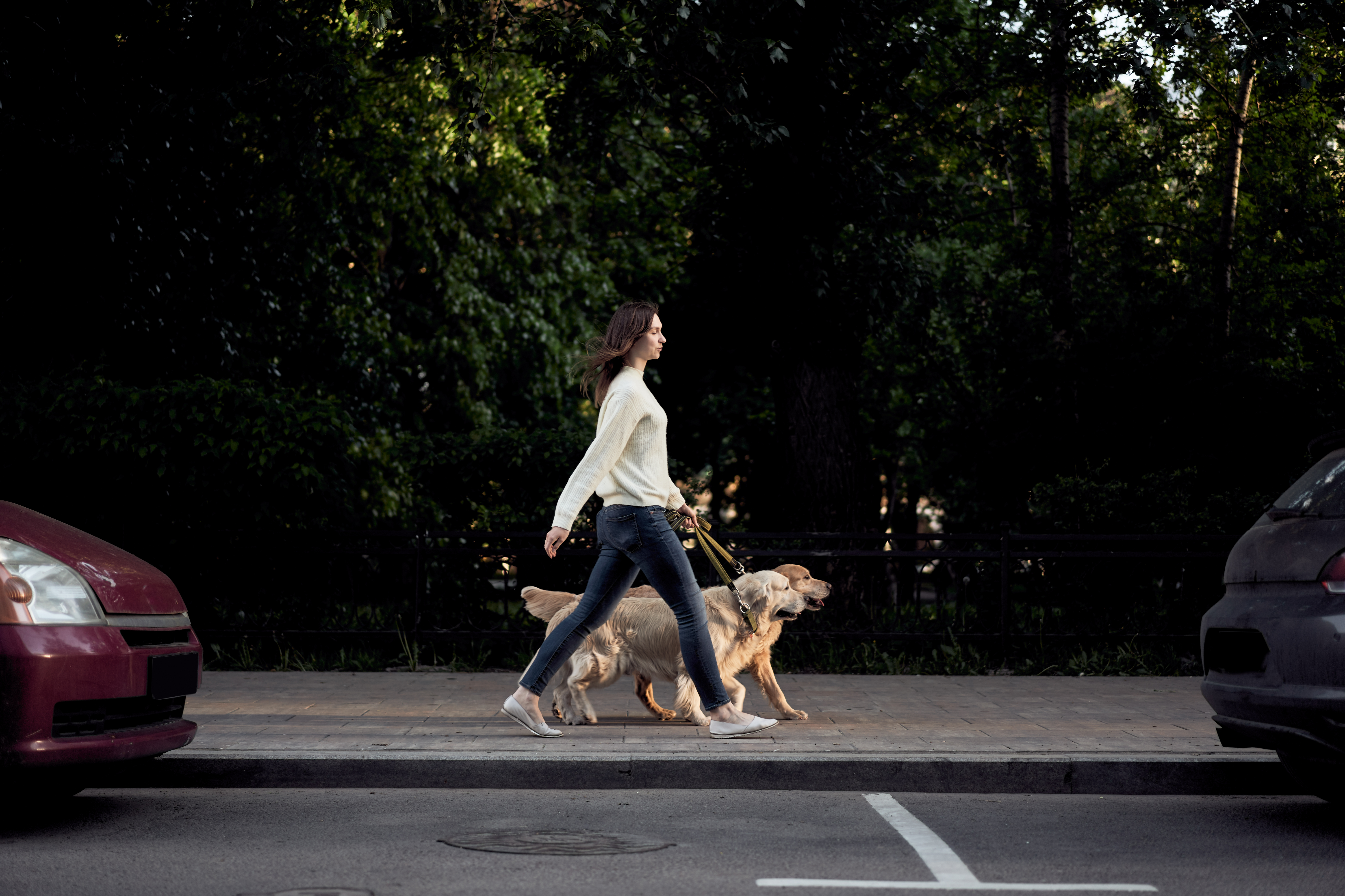 A városi kutyasétáltatás etikettje – Ezeket tartsuk be, hogy problémamentes legyen a közlekedés kedvencünkkel