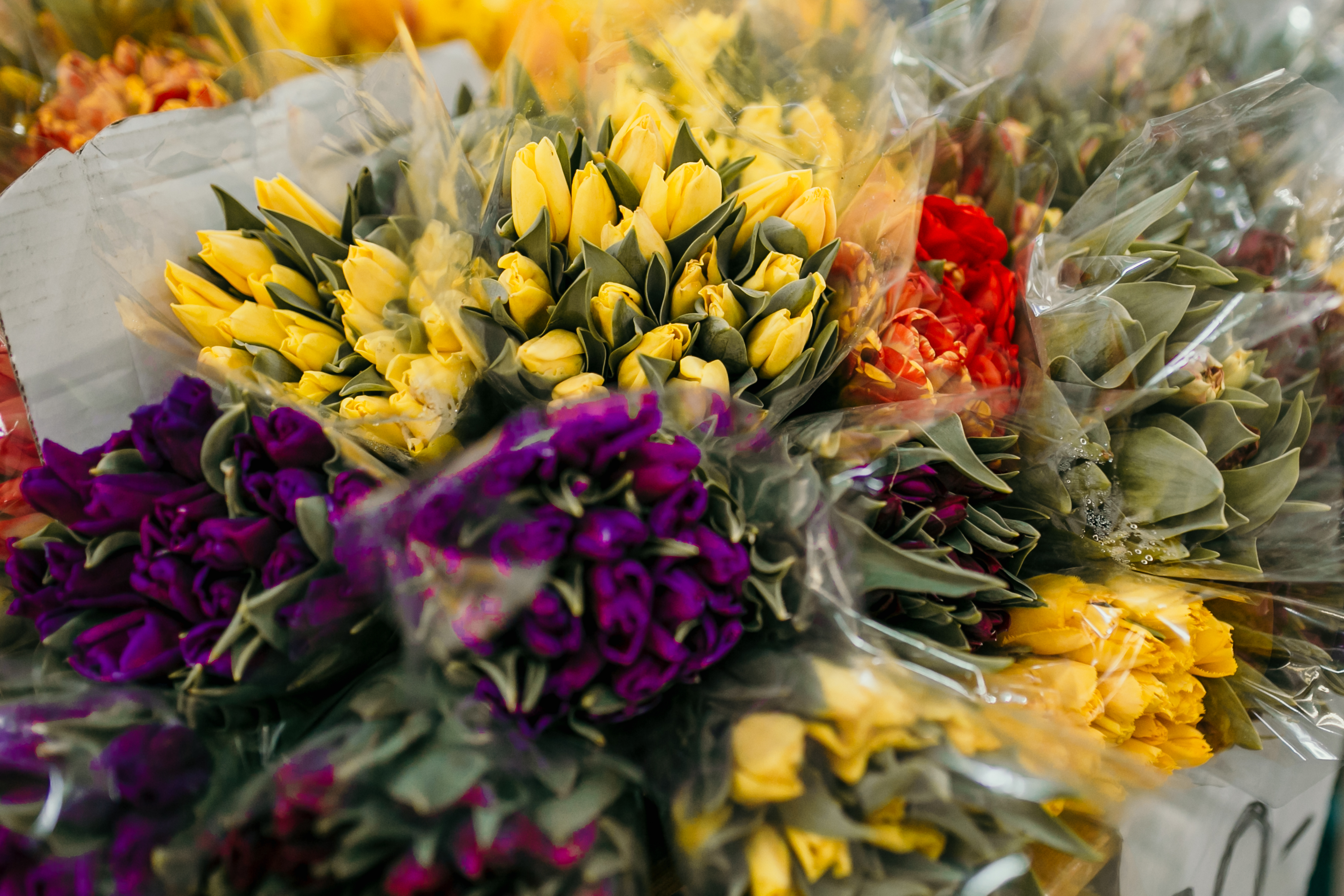 Ha tavasz, akkor virág – mit tud a Budapesti Virágpiac Angyalföldön?