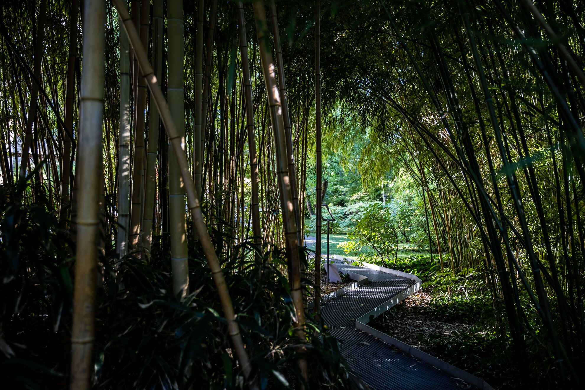 Magical Garden light show at ELTE Botanical Gardens