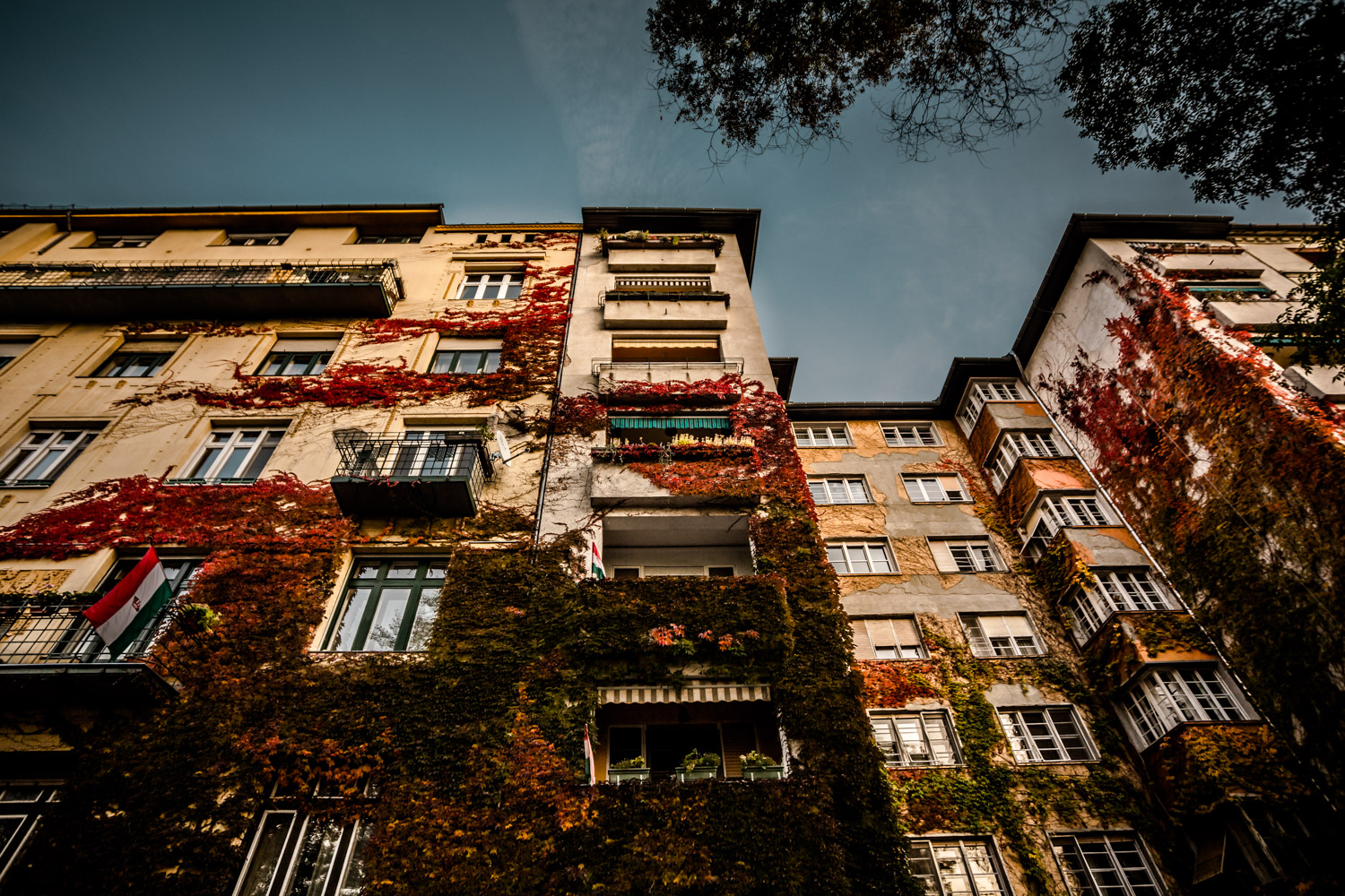 Budapesten jár az ősz – fotógaléria