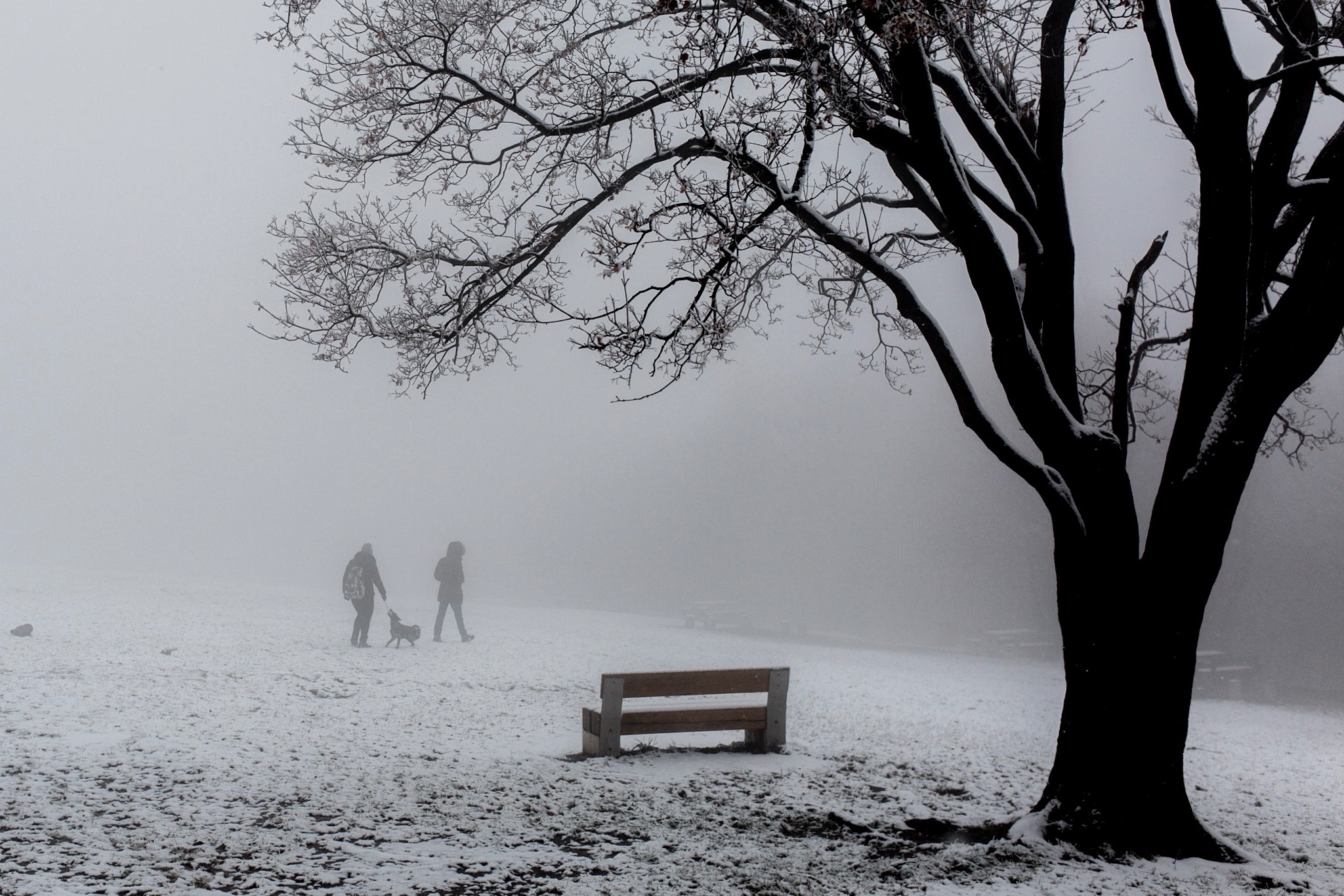 Leesett az első hó Budapesten és környékén – fotógaléria