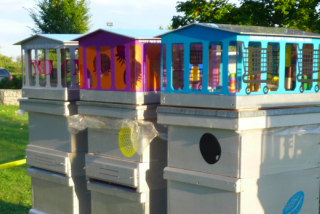 Közösségi méz - Városi méhészet Budapest közepén