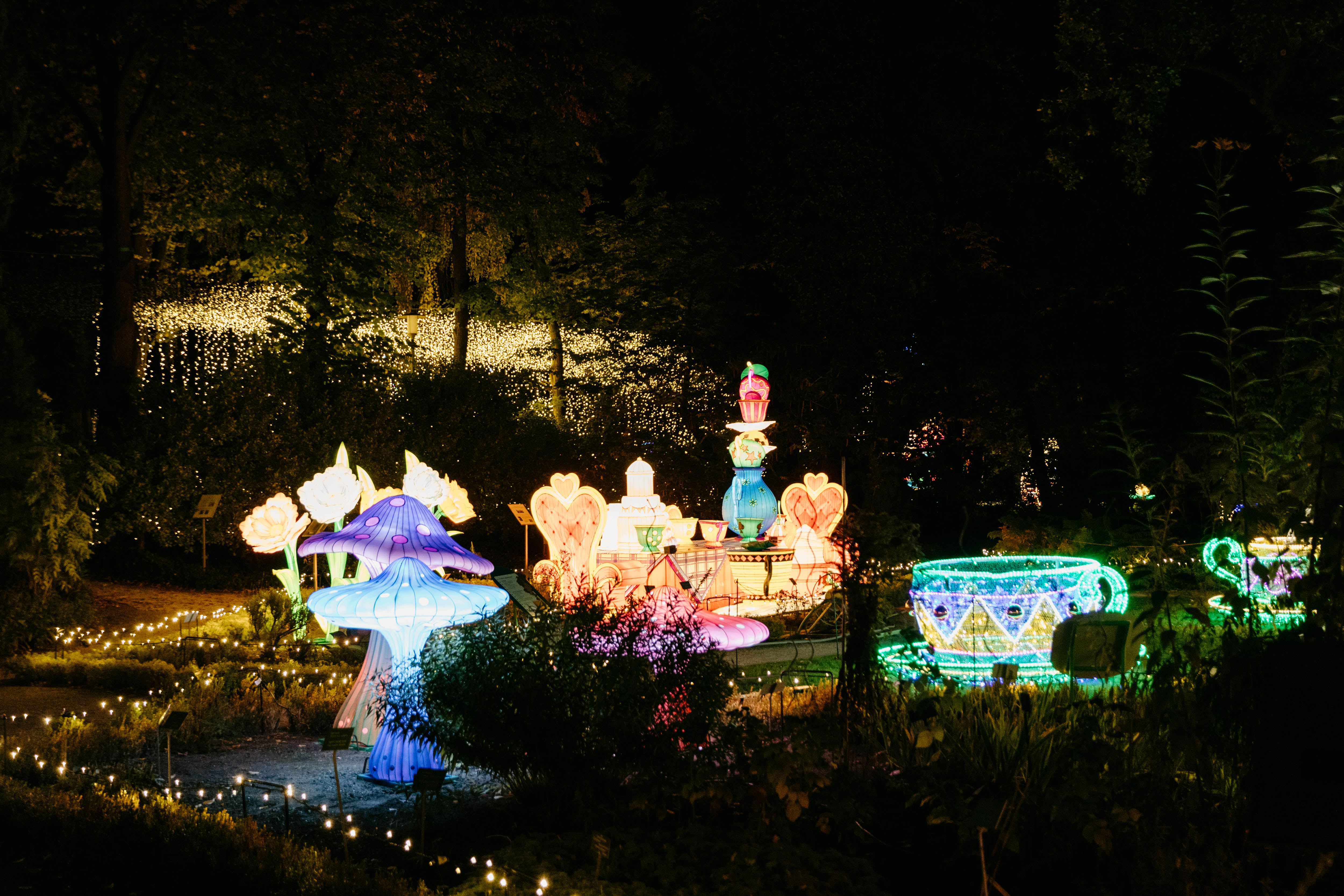 Páratlan fényművészeti attrakcióval vár esténként a Füvészkert – Képeken a Garden of Lights