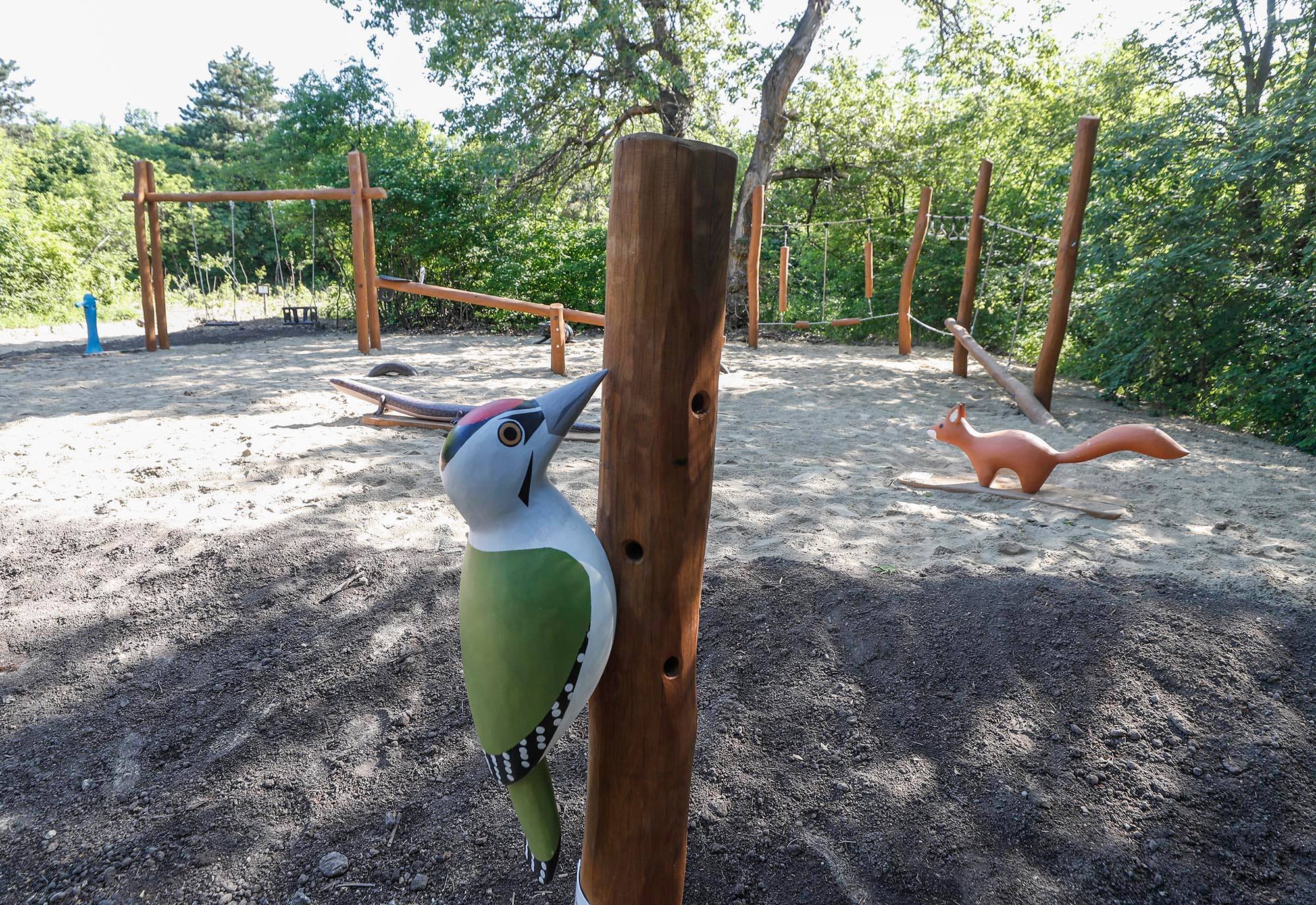 Erdei játszótér, osztályterem és madárles is várja mostantól a Szép-völgyi erdő kirándulóit