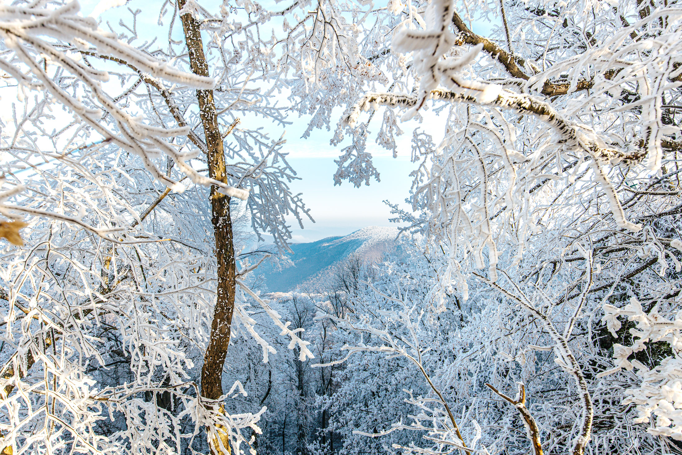 Téli csillogás a magasban: Dobogókő dérben és fagyban a fotósunk szemével