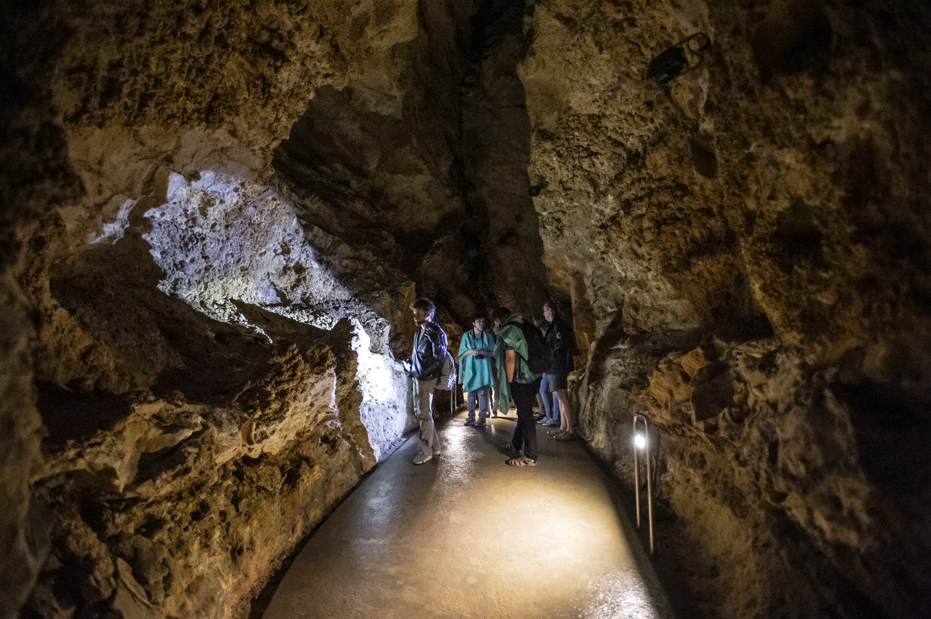 Ökoturizmus a fővárosban – alászálltunk Budapest „föld alatti virágoskertjébe”, a Szemlő-hegyi-barlangba