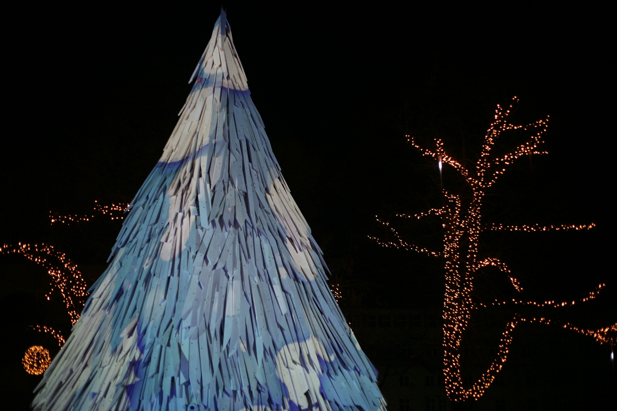 A város egyik legkülönlegesebb karácsonyfáját a Városháza parkban találod