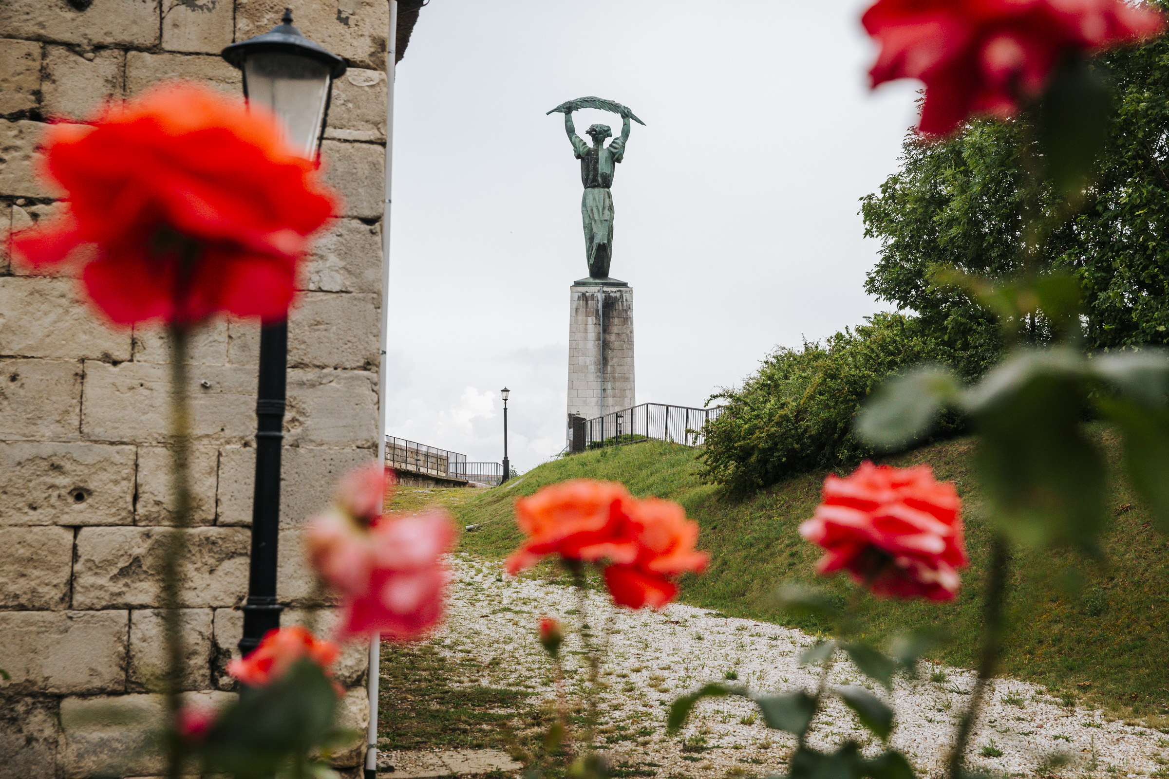 Gellért-hegyi rózsakertet hoznak létre a magyar településekért