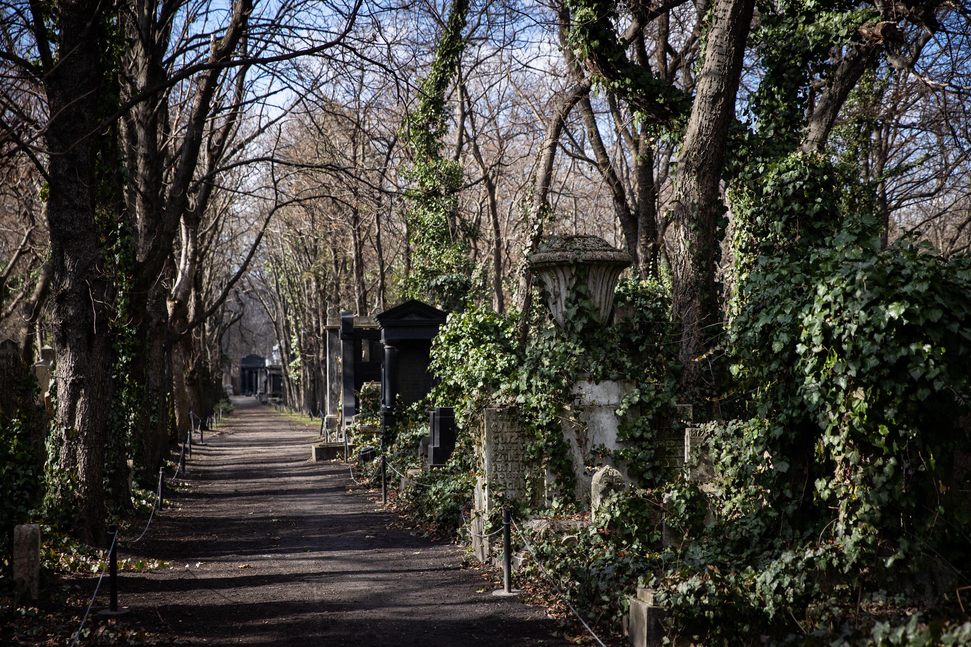 Temetői séták – A Salgótarjáni utcai zsidó temető