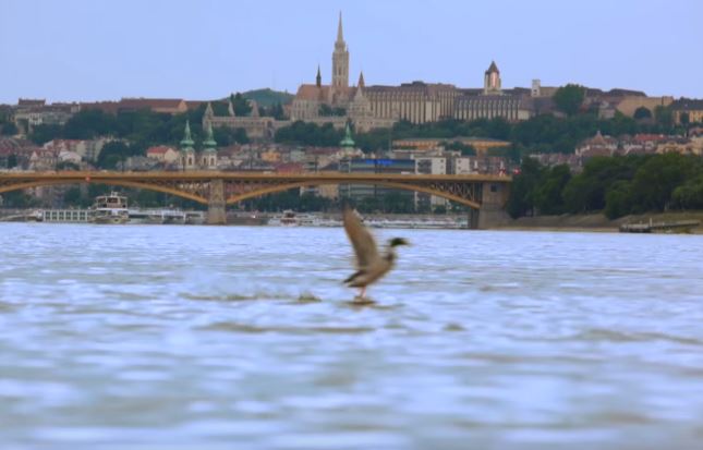 Neked mi jut eszedbe Budapestről? – a BVA erre keresi a választ videójában