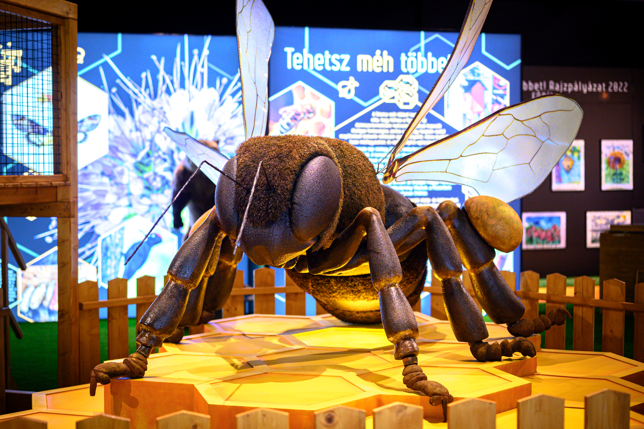 Méhek nélkül élet sincsen! – Megnéztük Európa legnagyobb beporzótárlatát a Természettudományi Múzeumban