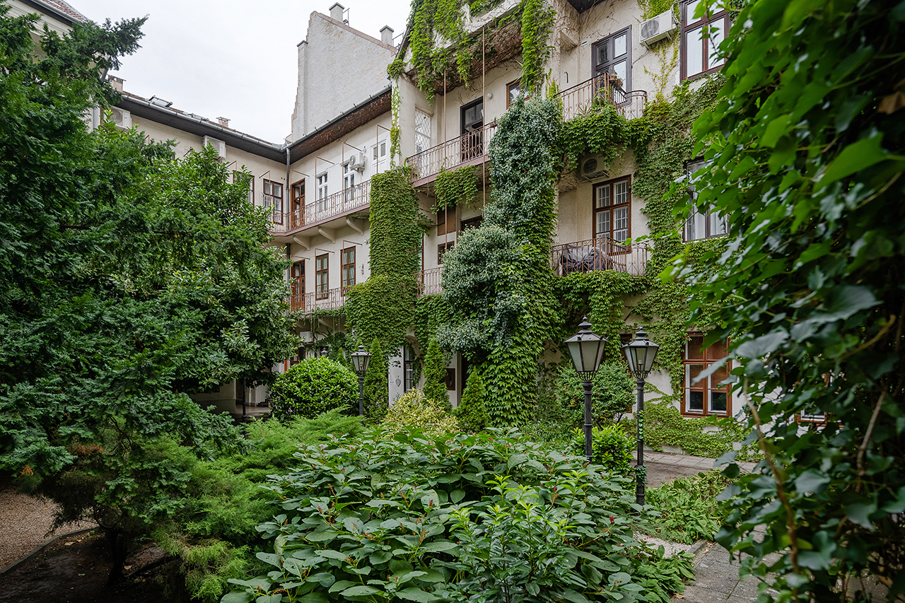 Legyen zöldebb Budapest! – Belső udvarok és külső homlokzatok zöldítésére lehet pályázni a Fővárosnál