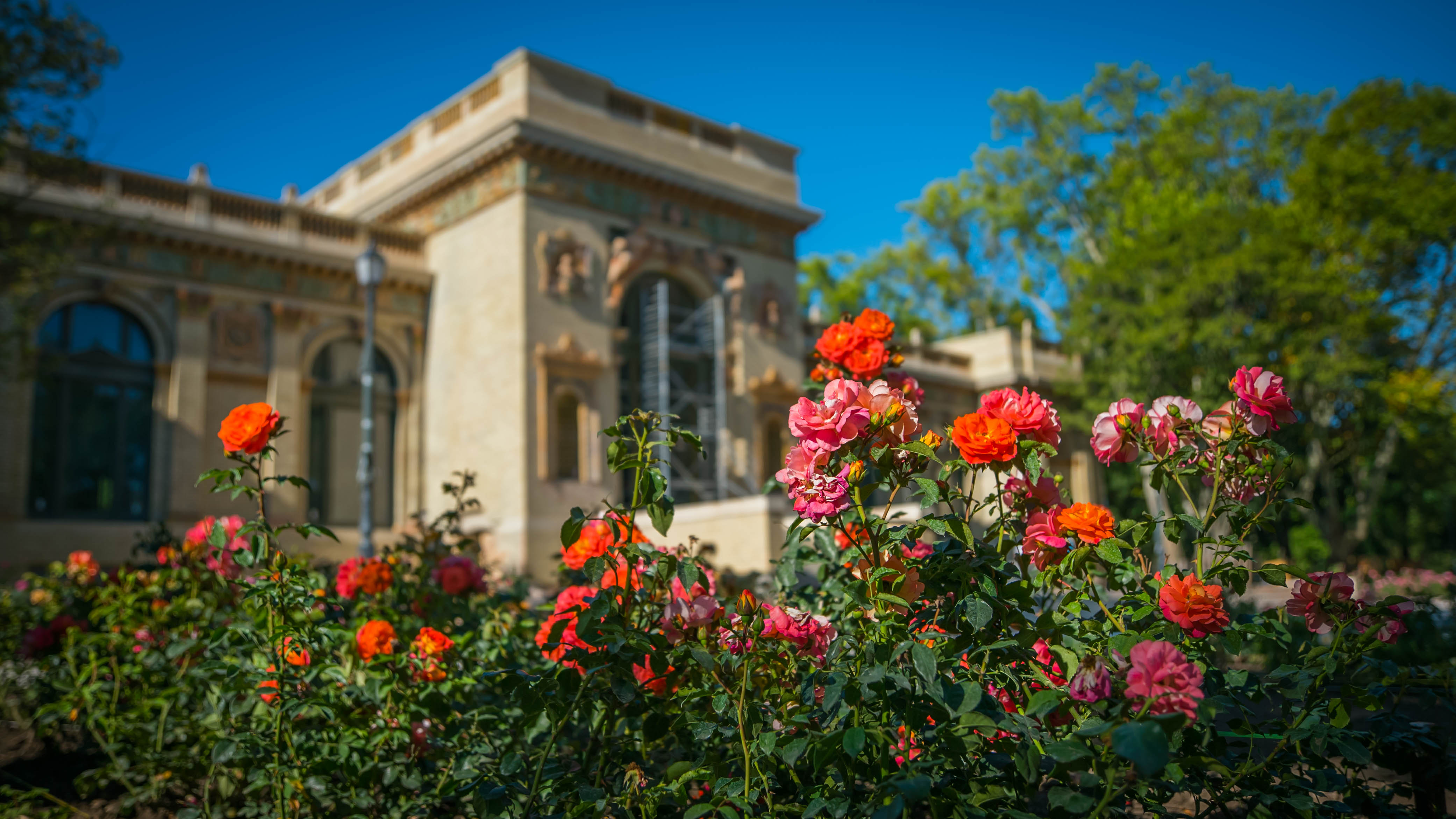 Csodás Zsolnay kerámiák és rózsakert – így zajlott a lassan kulcsrakész Olof Palme Ház restaurálása