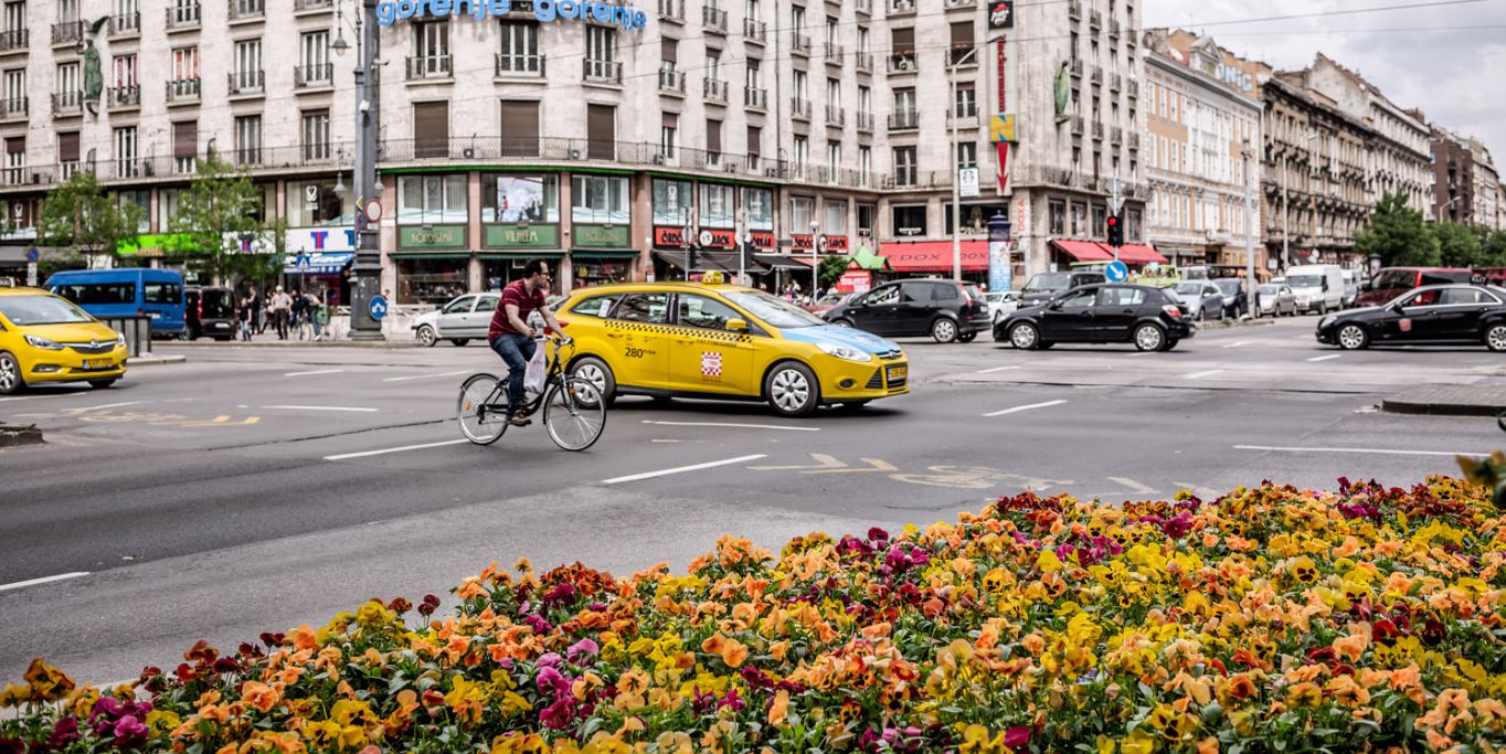 Így borul virágba Budapest – kis fővárosi virágkalauz
