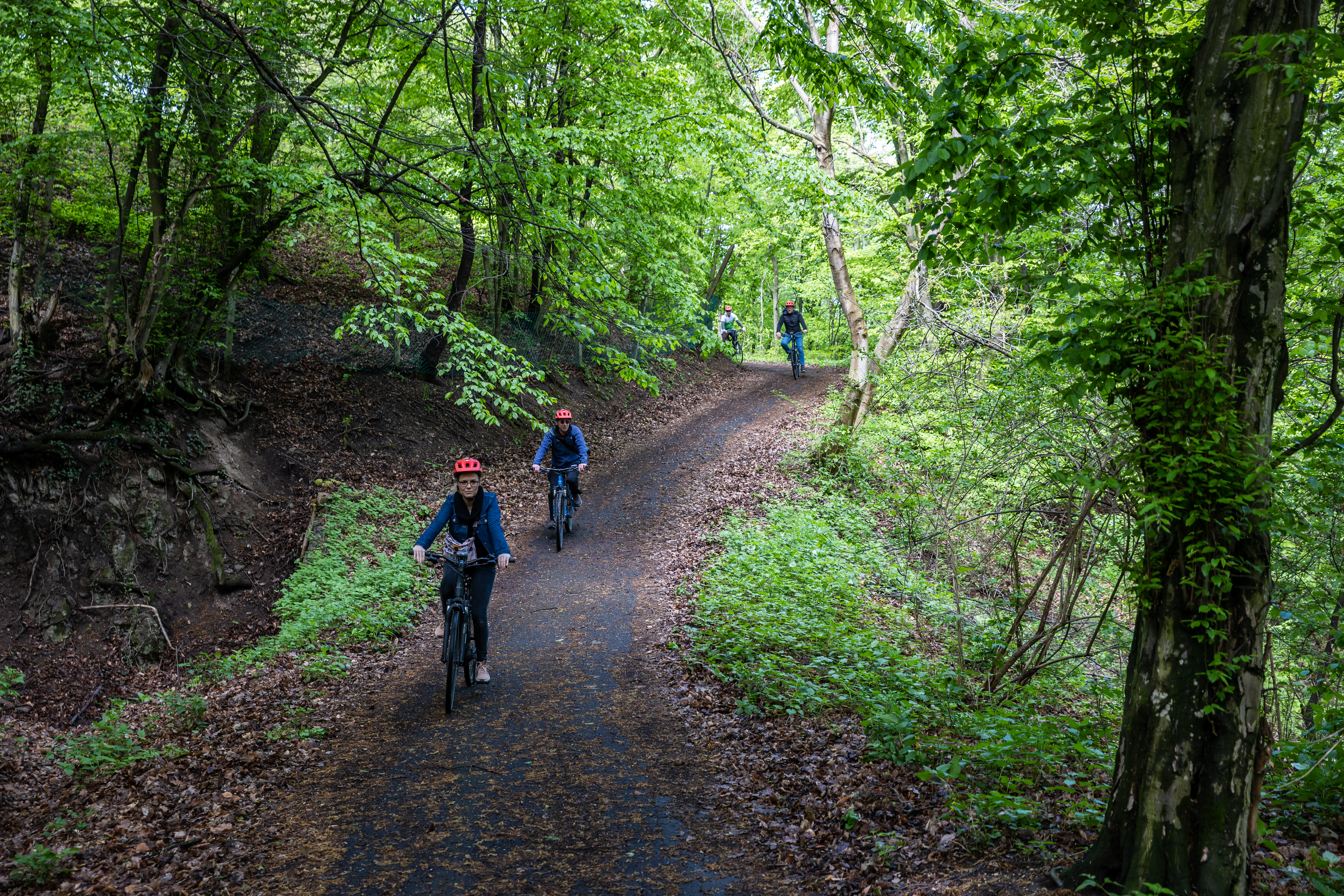 Biztonságosabban bringázhatunk a Visegrádi-hegységben és a Pilisben – Erdei kerékpárutak újultak meg