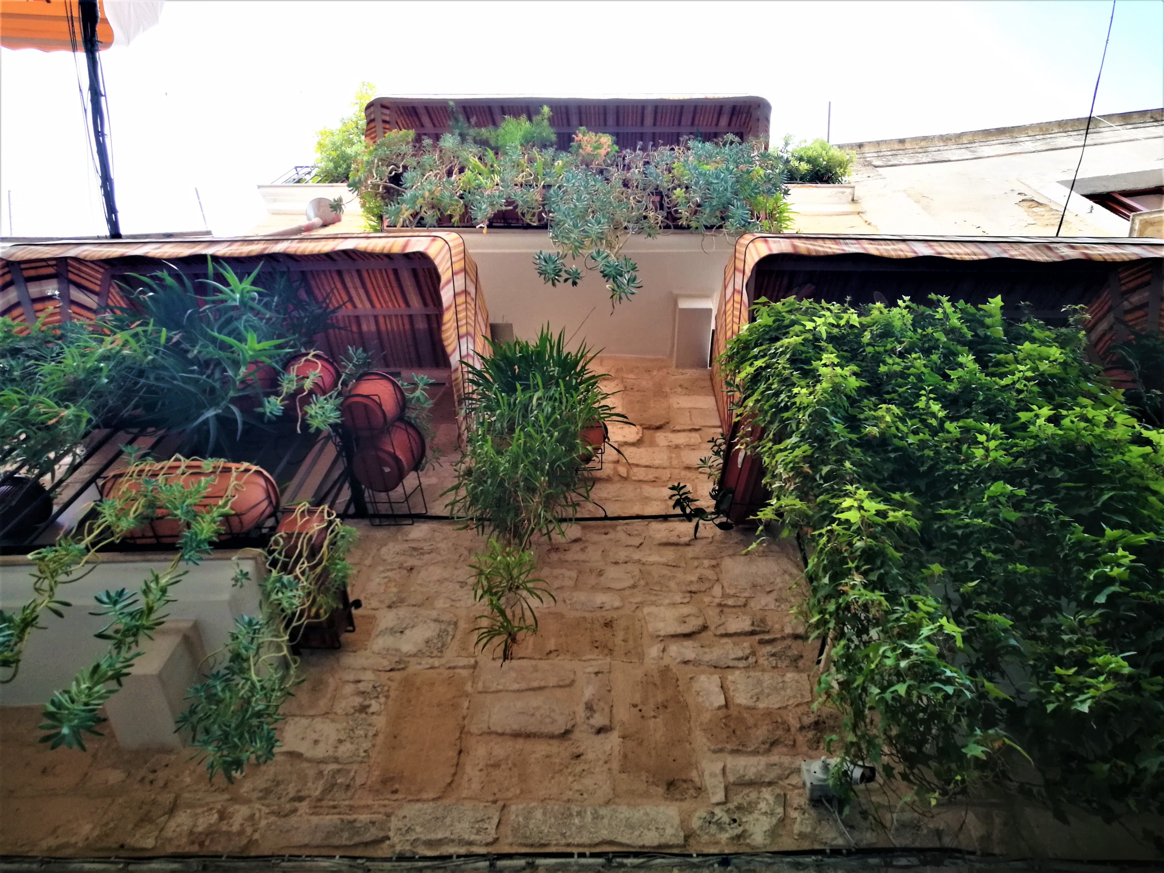 Növénymániásként a városban – így fogj neki a kertészkedésnek, ha lakásban élsz